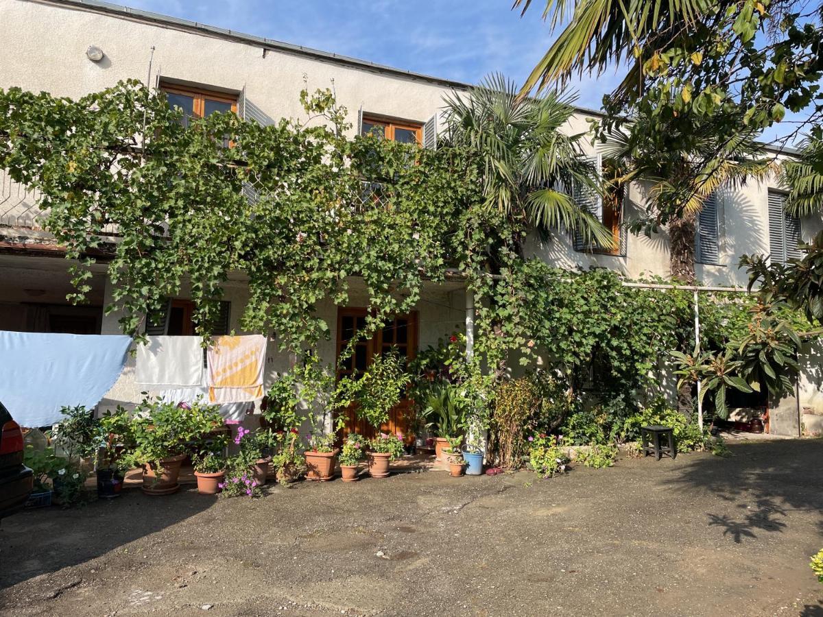 Guesthouse Georgia Sagarejo Exterior photo